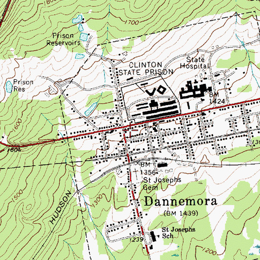 Topographic Map of Dannemora, NY