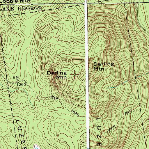 Topographic Map of Darling Mountain, NY
