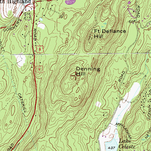 Topographic Map of Denning Hill, NY