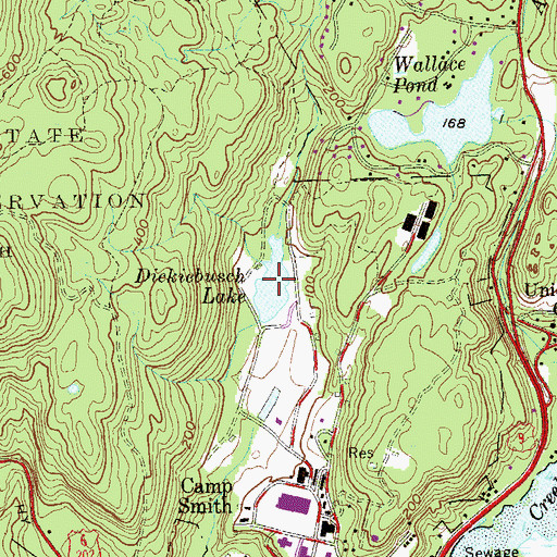 Topographic Map of Dickiebusch Lake, NY