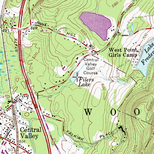 Topographic Map of Filers Lake, NY