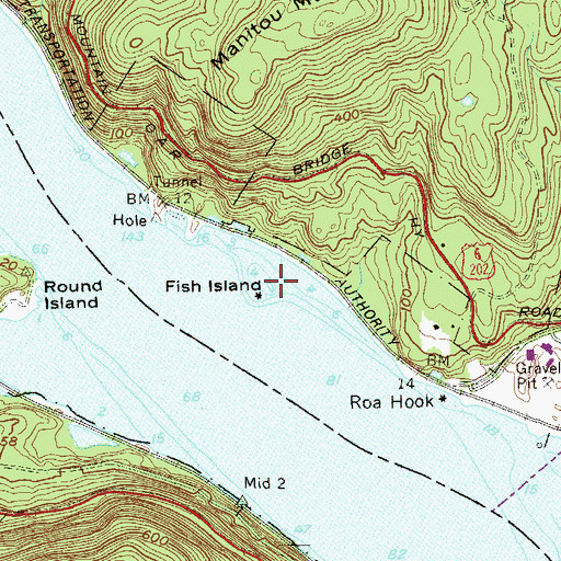 Topographic Map of Fish Island, NY