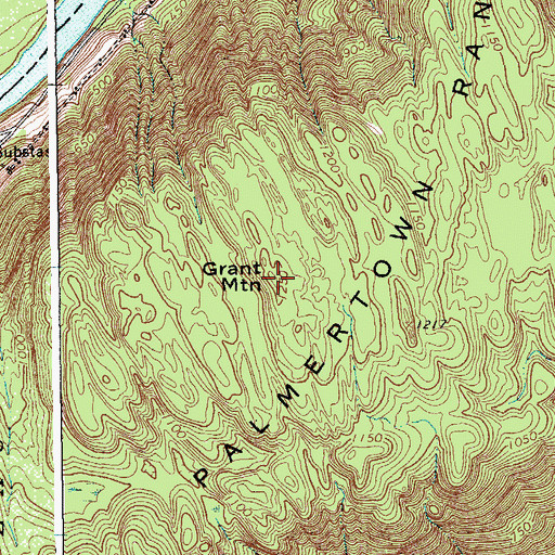 Topographic Map of Grant Mountain, NY