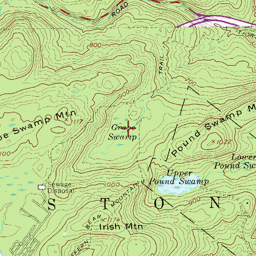 Topographic Map of Grape Swamp, NY