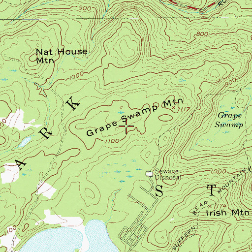 Topographic Map of Grape Swamp Mountain, NY