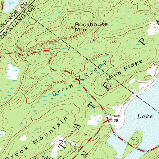 Topographic Map of Green Swamp, NY