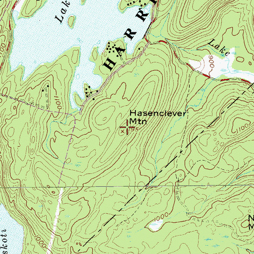 Topographic Map of Hasenclever Mountain, NY