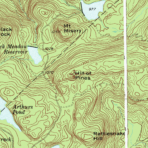 Topographic Map of Hill of Pines, NY