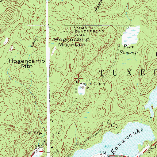 Topographic Map of Hogen Camp Mine, NY