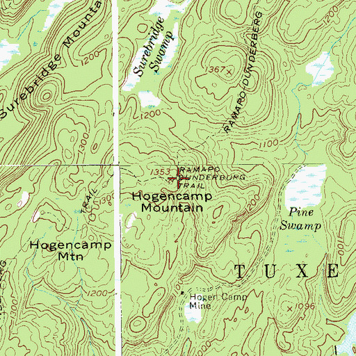 Topographic Map of Hogencamp Mountain, NY