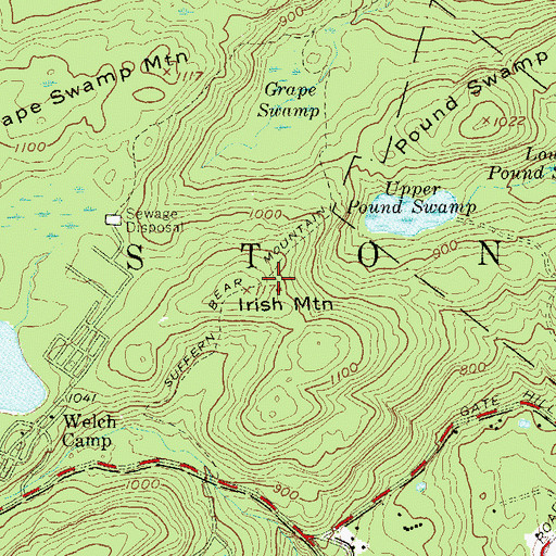 Topographic Map of Irish Mountain, NY