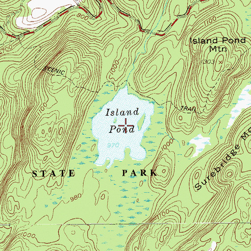 Topographic Map of Island Pond, NY