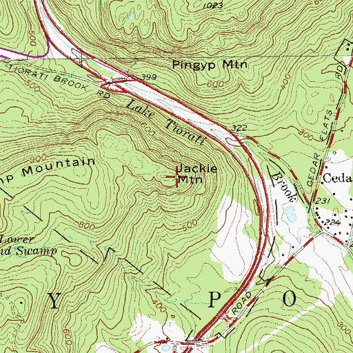 Topographic Map of Jackie Mountain, NY