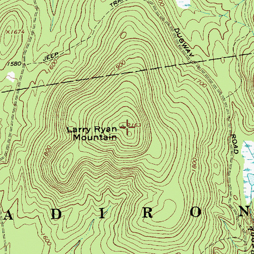 Topographic Map of Larry Ryan Mountain, NY