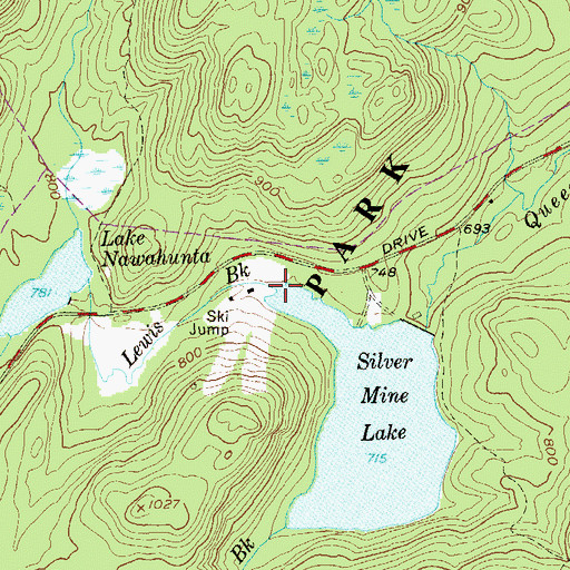 Topographic Map of Lewis Brook, NY