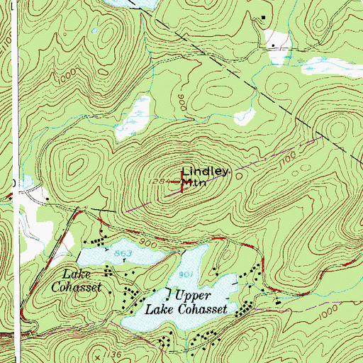 Topographic Map of Lindley Mountain, NY