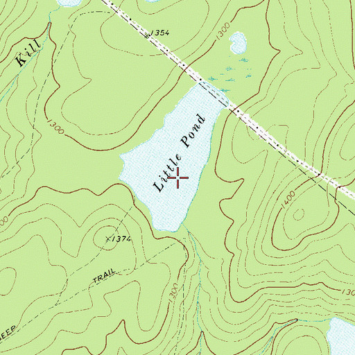 Topographic Map of Little Pond, NY