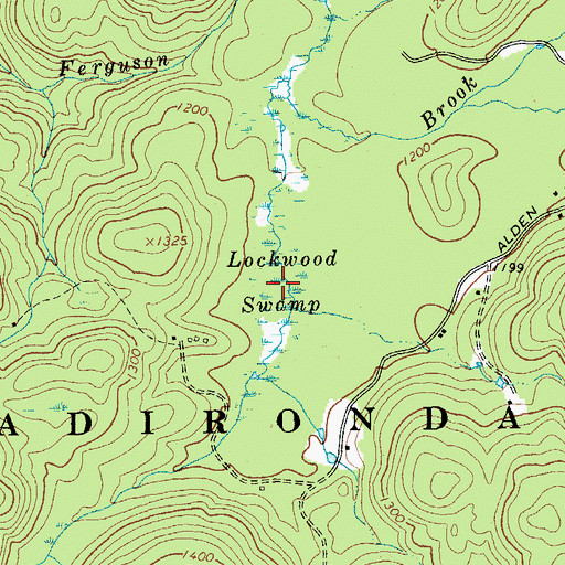 Topographic Map of Lockwood Swamp, NY