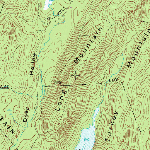 Topographic Map of Long Mountain, NY