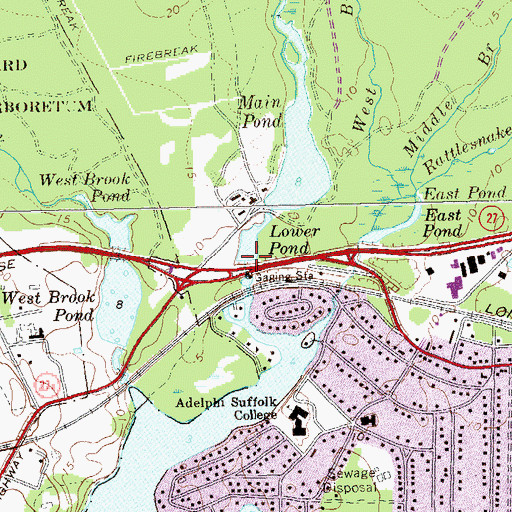 Topographic Map of Lower Pond, NY