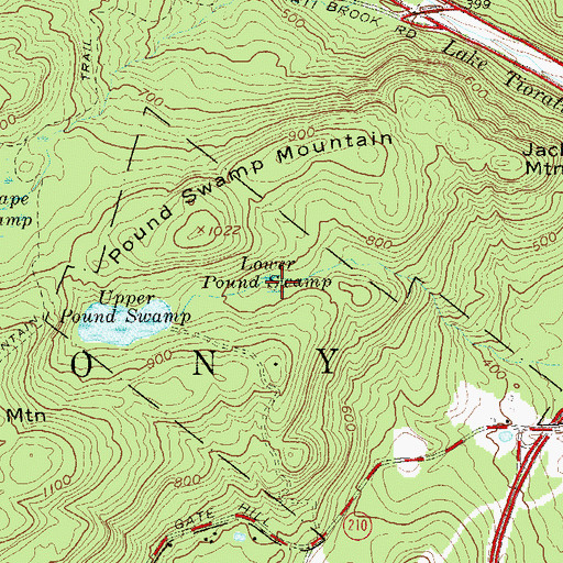 Topographic Map of Lower Pound Swamp, NY