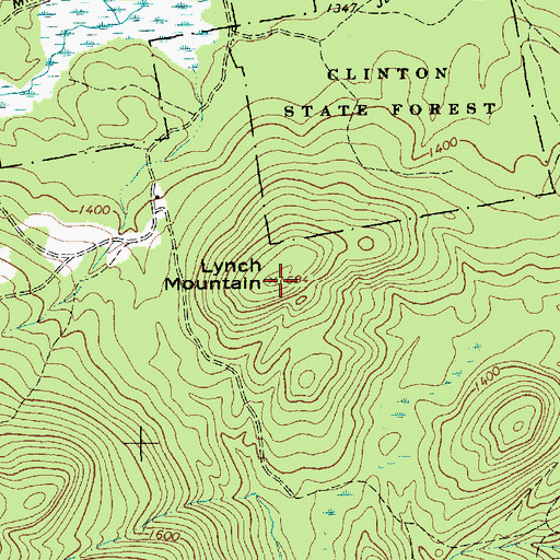 Topographic Map of Lynch Mountain, NY