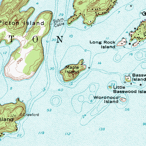 Topographic Map of Maple Island, NY