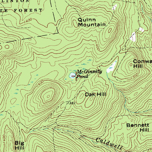 Topographic Map of McGinnity Pond, NY