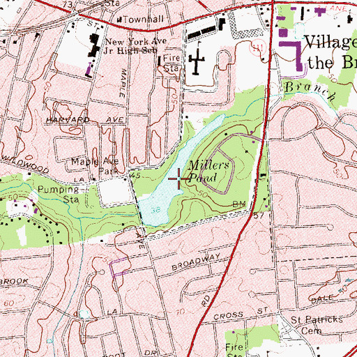 Topographic Map of Millers Pond, NY
