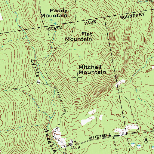 Topographic Map of Mitchell Mountain, NY