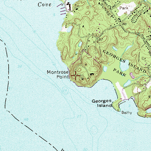 Topographic Map of Montrose Point, NY