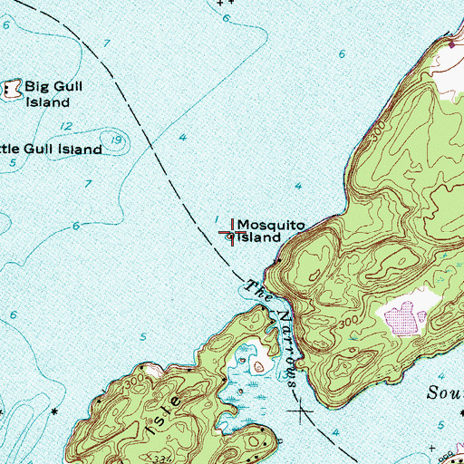 Topographic Map of Mosquito Island, NY