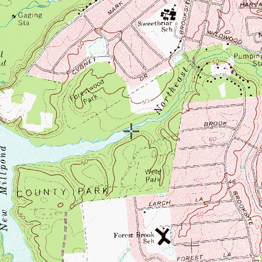 Topographic Map of Northeast Branch, NY