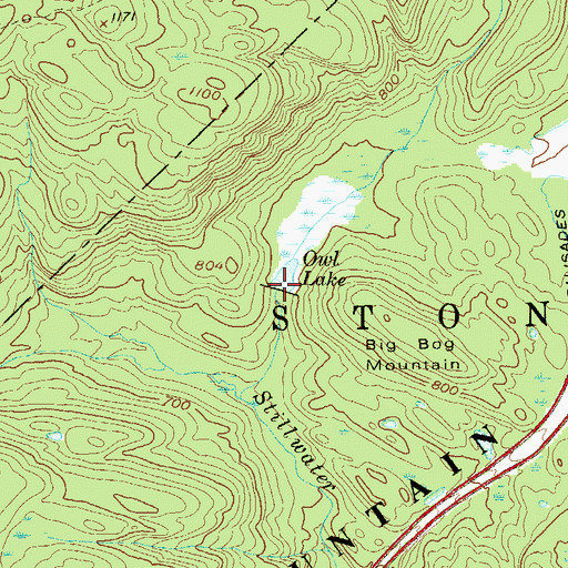 Topographic Map of Owl Swamp, NY