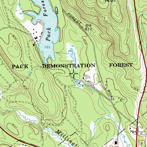 Topographic Map of Pack Demonstration Forest, NY