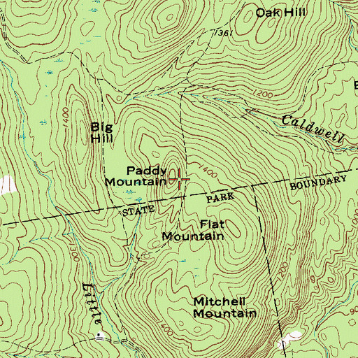 Topographic Map of Paddy Mountain, NY