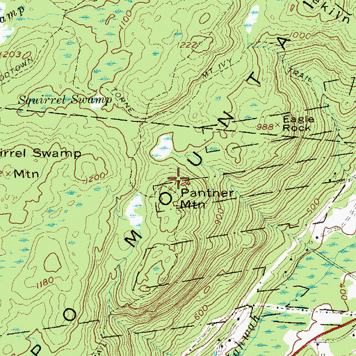 Topographic Map of Panther Mountain, NY