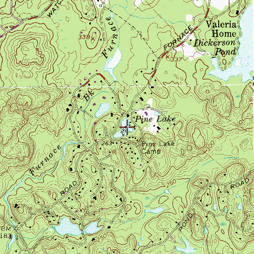 Topographic Map of Pine Lake, NY