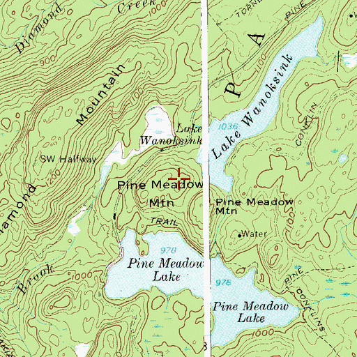 Topographic Map of Pine Meadow Mountain, NY
