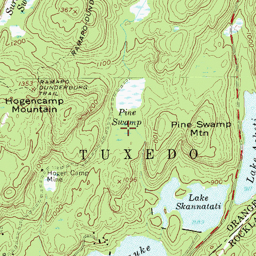 Topographic Map of Pine Swamp, NY