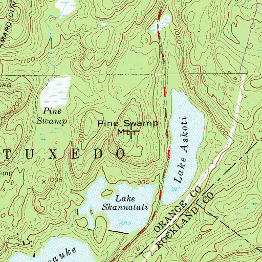 Topographic Map of Pine Swamp Mountain, NY