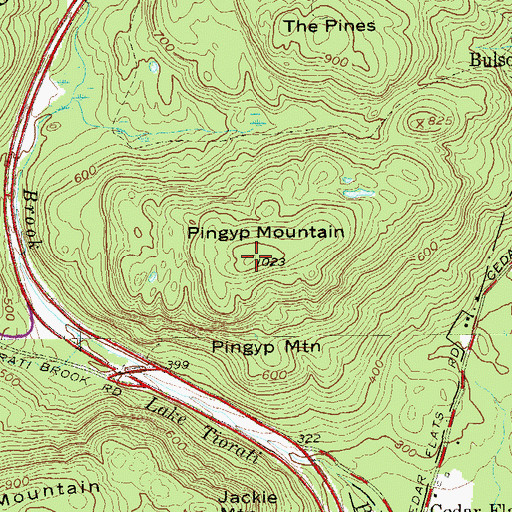Topographic Map of Pingyp Mountain, NY