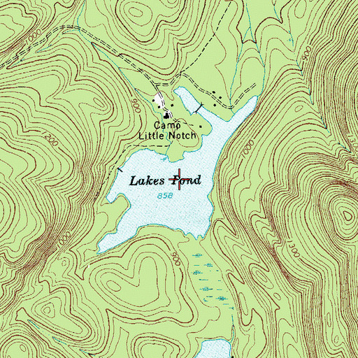 Topographic Map of Lake Pond, NY