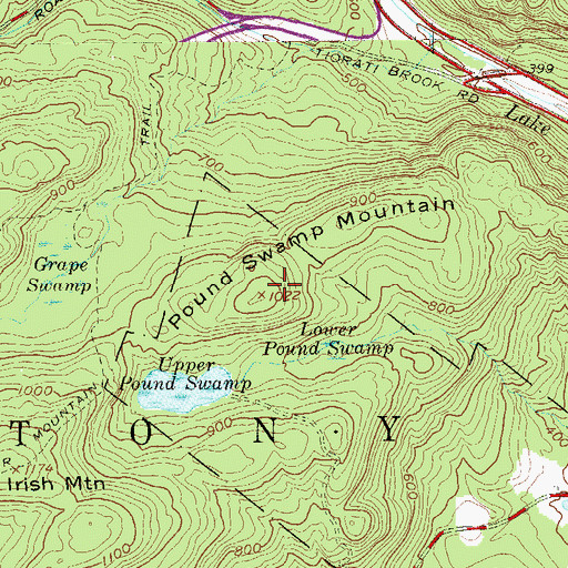 Topographic Map of Pound Swamp Mountain, NY