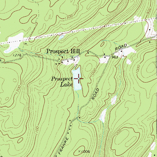 Topographic Map of Prospect Lake, NY