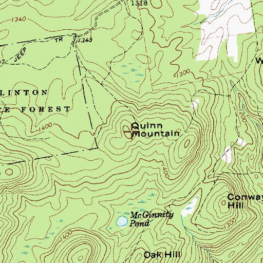 Topographic Map of Quinn Mountain, NY