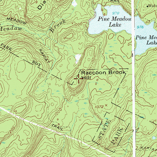 Topographic Map of Raccoon Brook Hill, NY