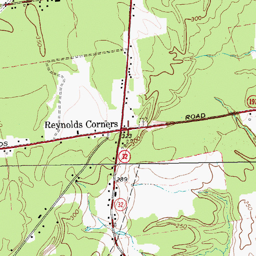 Topographic Map of Reynolds Corners, NY