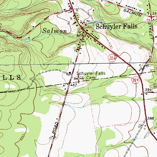 Topographic Map of Schuyler Falls Cemetery, NY