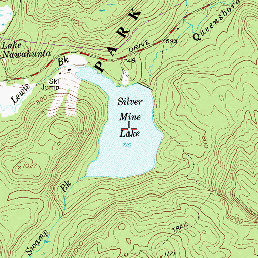 Topographic Map of Silver Mine Lake, NY
